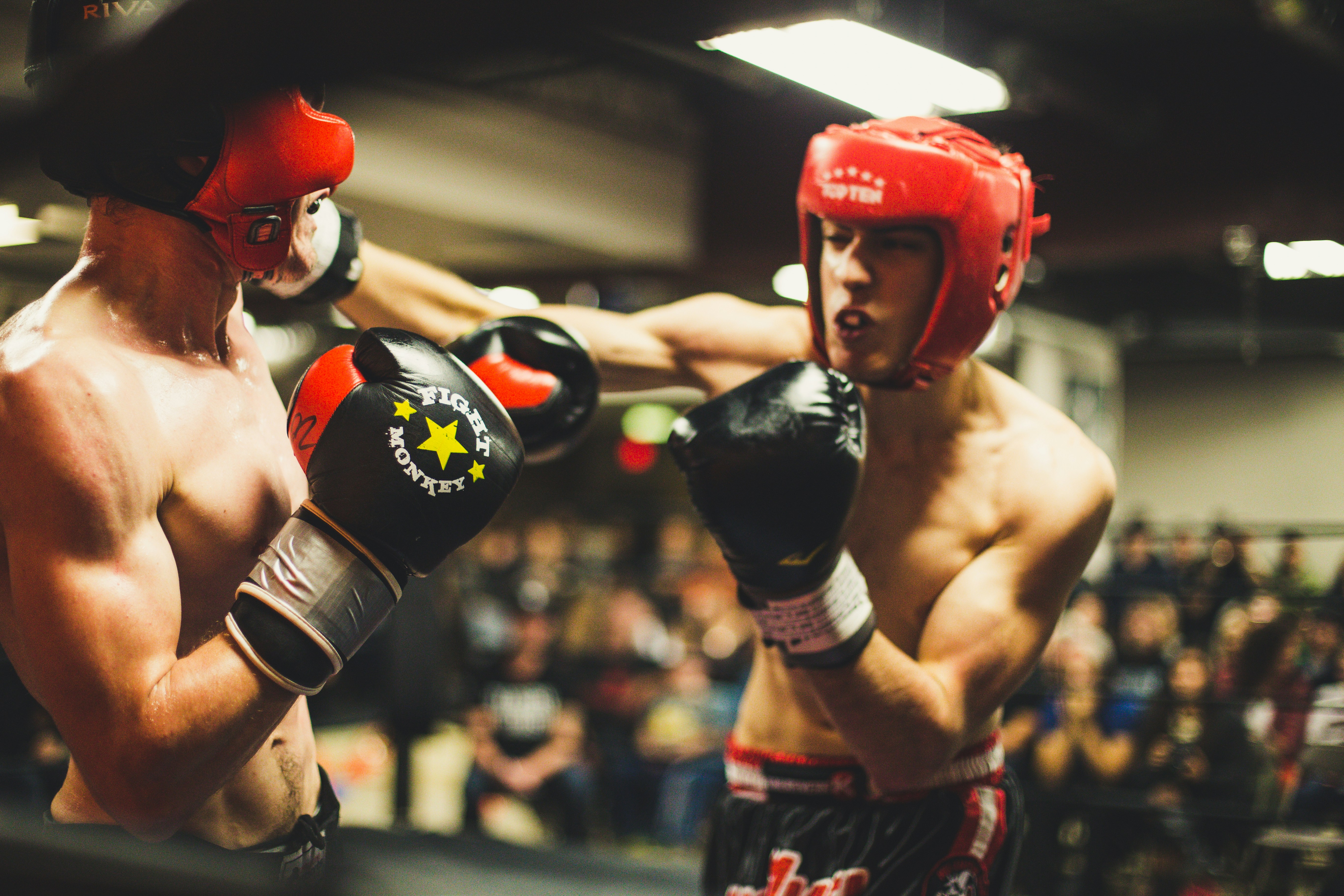 A combat sports athlete performing a structured barbell strength session as part of a periodized fight camp