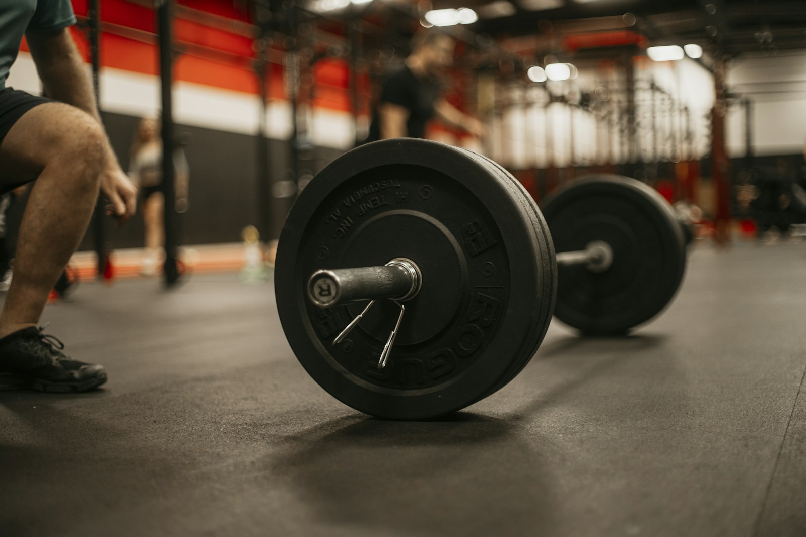 A loaded barbell resting on a gym floor mid-session — the same equipment, exercises, and volume can be organised into linear, undulating, or block periodization with very different theoretical claims attached.